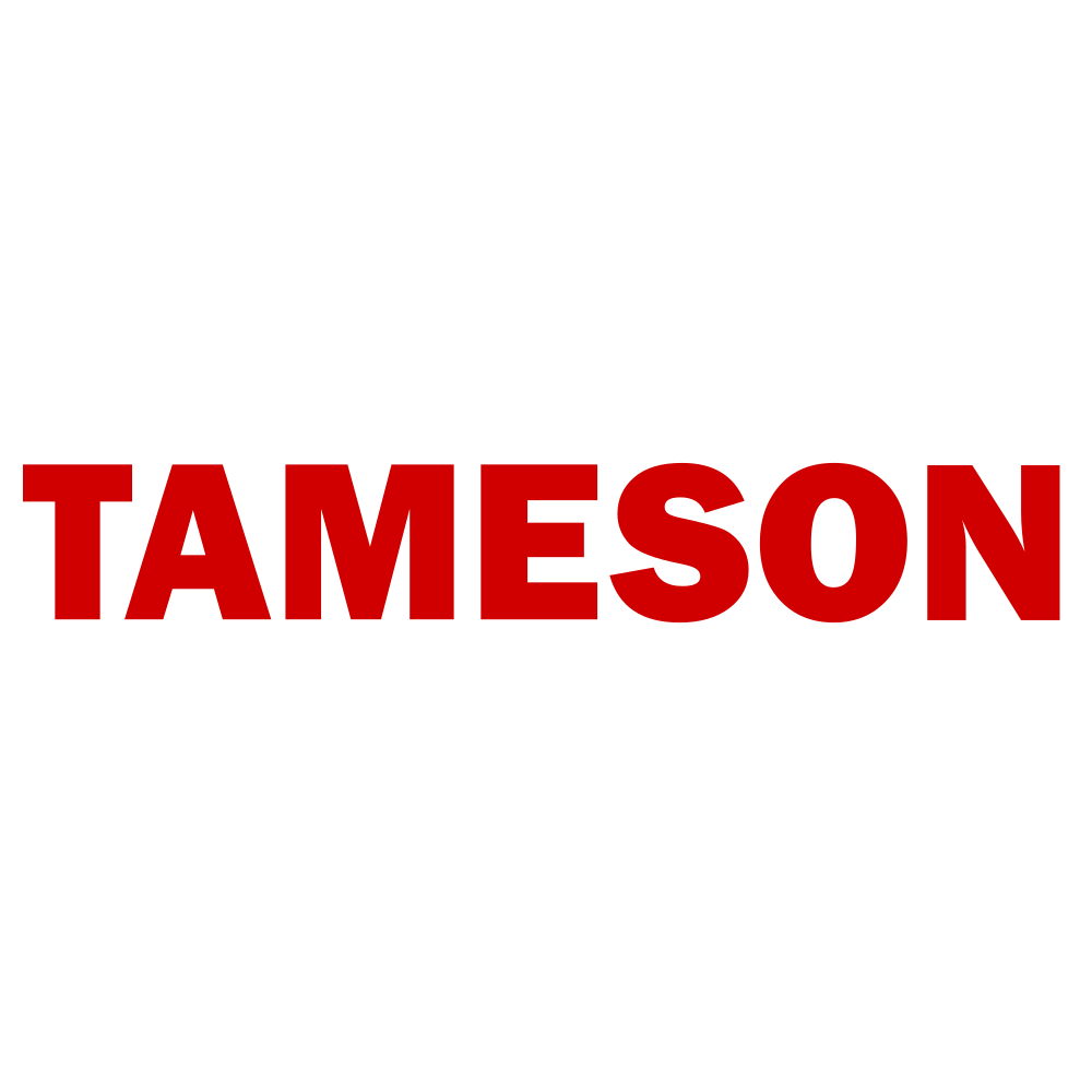 Logo Tameson UK
