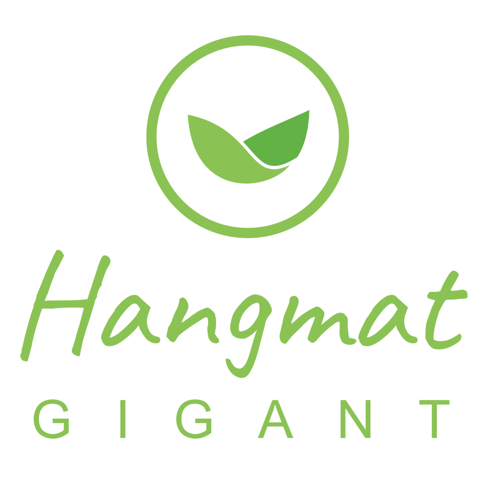 Logo Hangmatgigant.nl