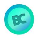 Logo Bigcash - US - CPA