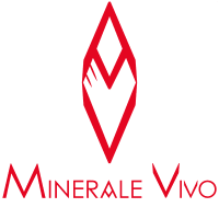 Logo Minerale Vivo - IT