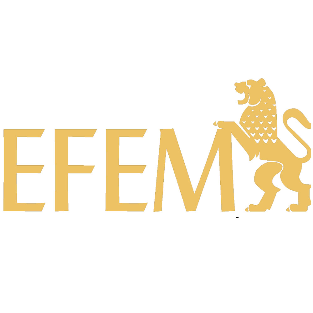 Logo EFEM