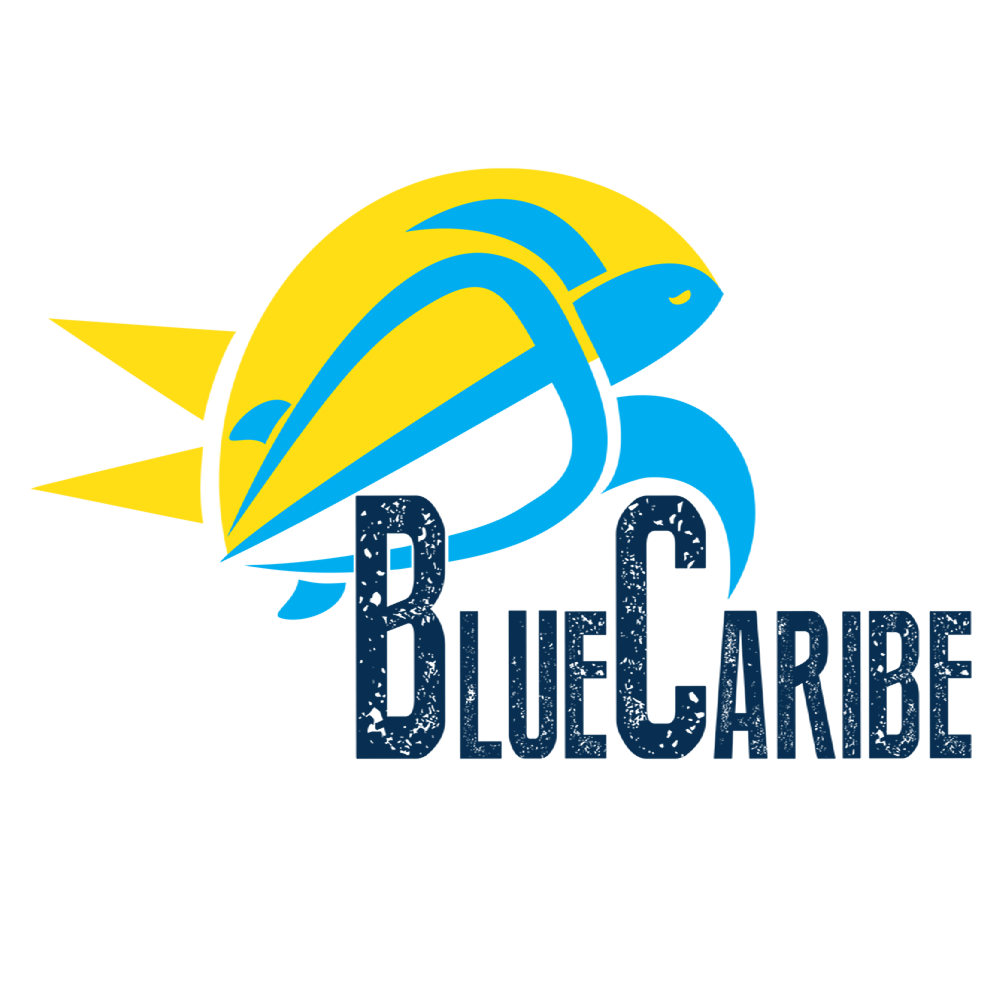 Logo Blue Caribe Tours