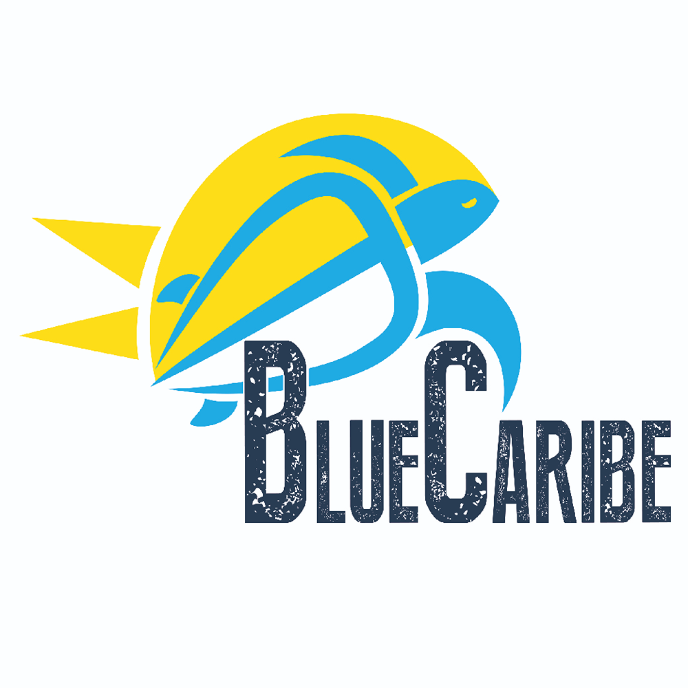 Logo Blue Caribe Tours UK