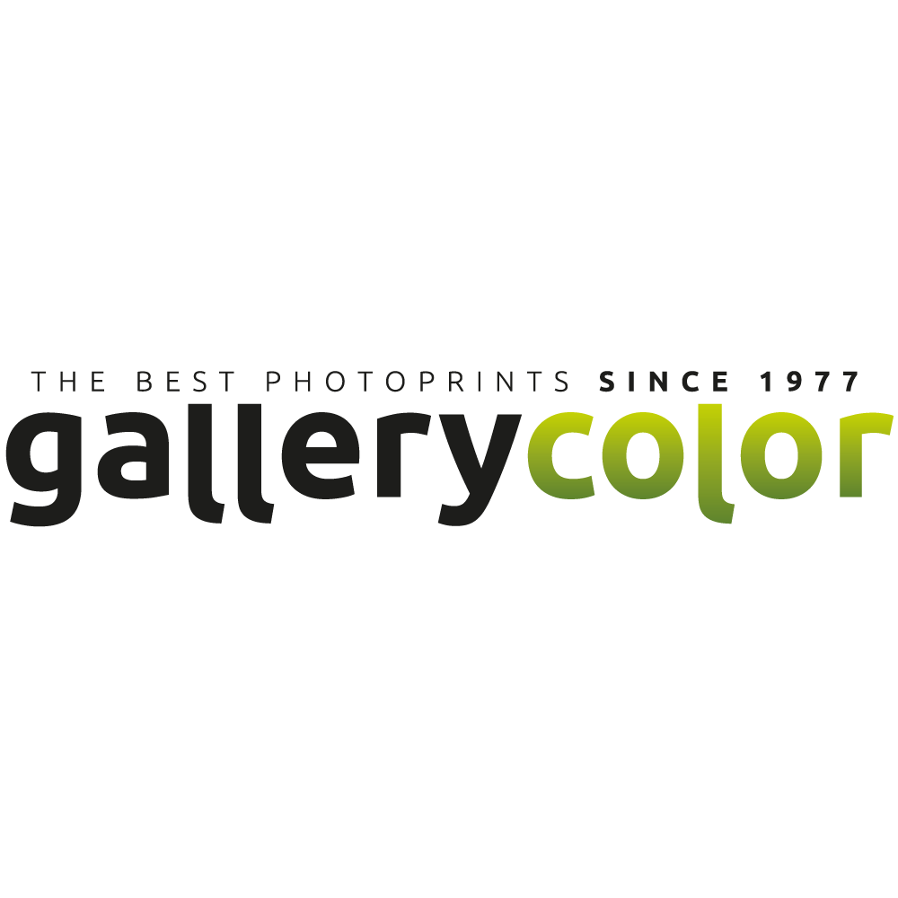 Logo Gallerycolor.nl