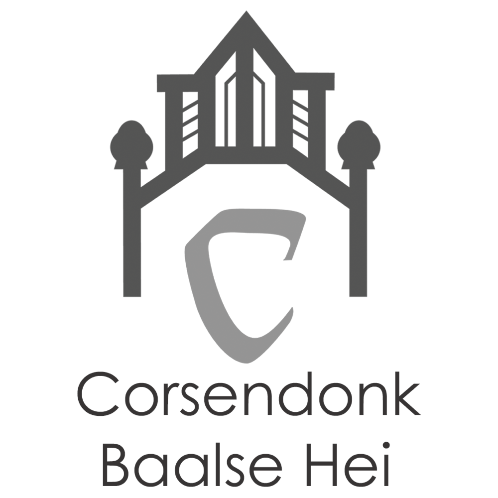 Logo Baalsehei.be
