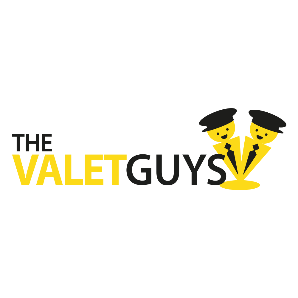 Logo Thevaletguys.nl