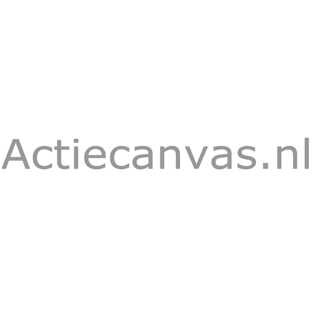 Logo Actiecanvas.nl