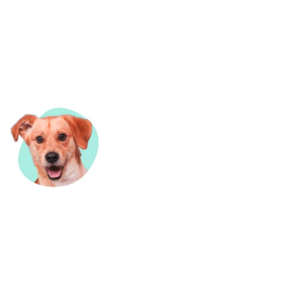 Logo DKproducts.nl