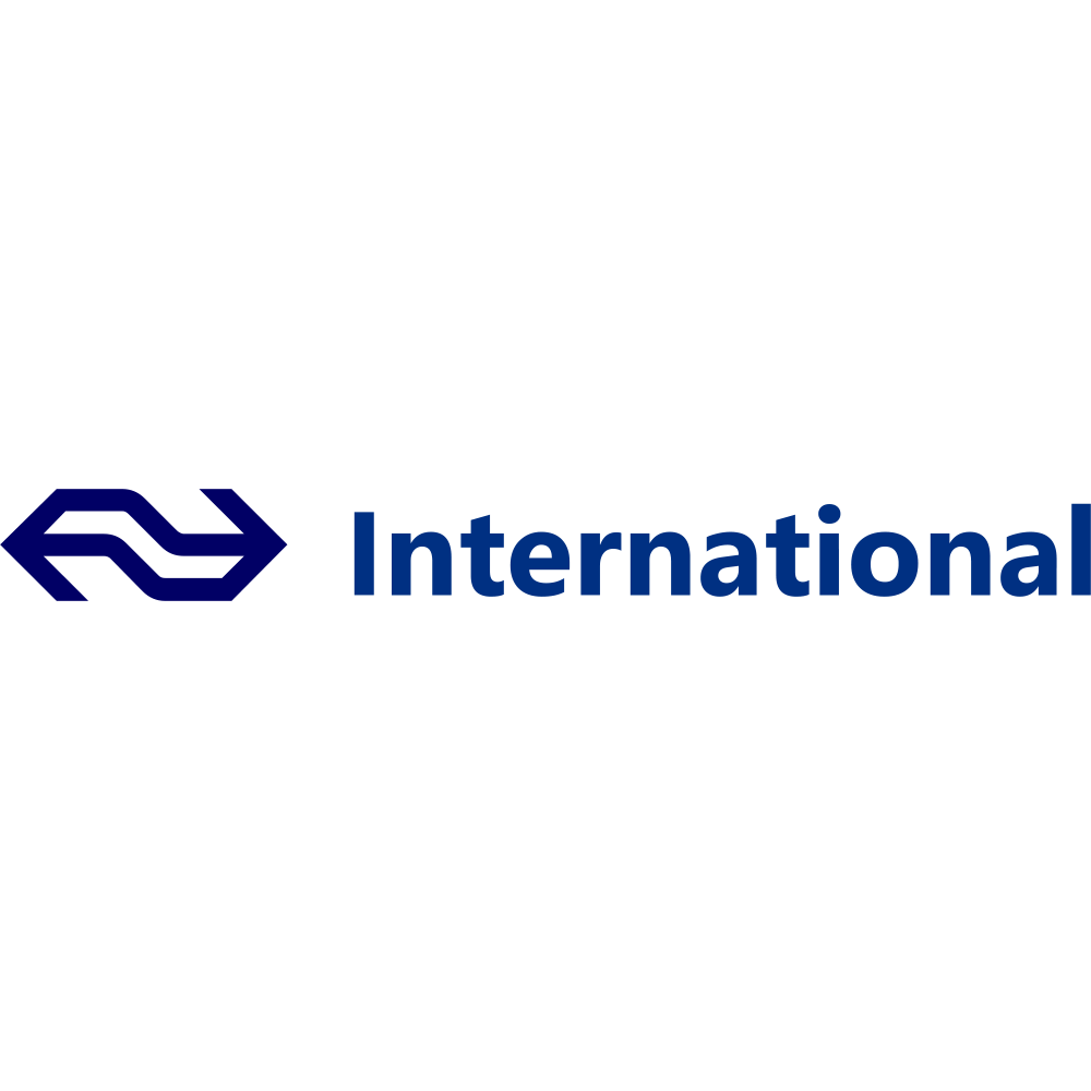 Logo NSInternational.com