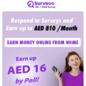 Logo Surveoo - Questionnaire - AE - CPL