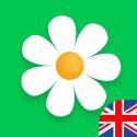 Logo Flowers Delivery App Myflowers - Android - GB - CPI