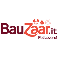 Logo Bauzaar - IT