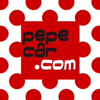 Logo Pepecar - IT