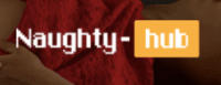 Logo Naughtyhub - SE