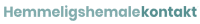 Logo HemmeligShemaleKontakt - DK