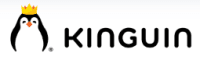 Logo Kinguin - DE