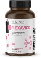 Logo Flexavico - SK