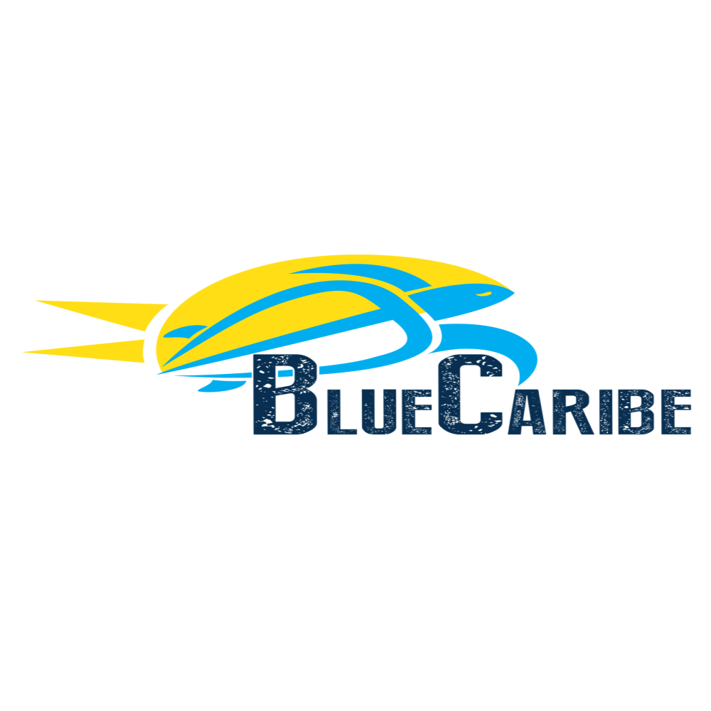 Logo Blue Caribe Tours