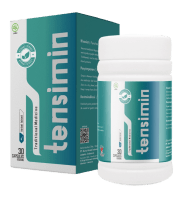 Logo Tensimin - ID