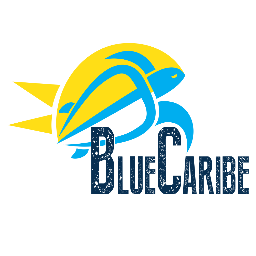 Logo Blue Caribe Tours