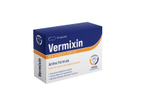 Logo Vermixin - LV