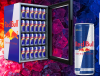 Logo Red Bull Energy Drink + Mini Fridge 500€ - DE