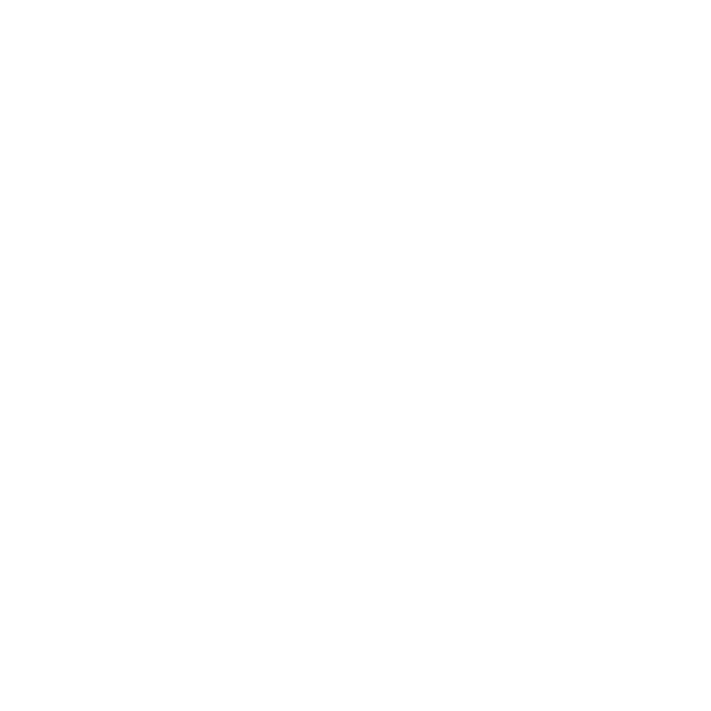 Logo NAF NAF