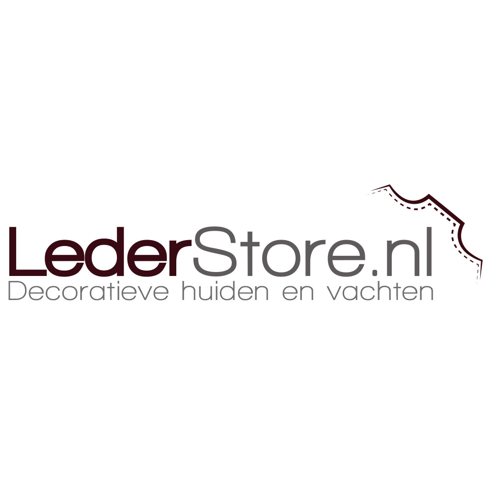 Logo Lederstore.nl